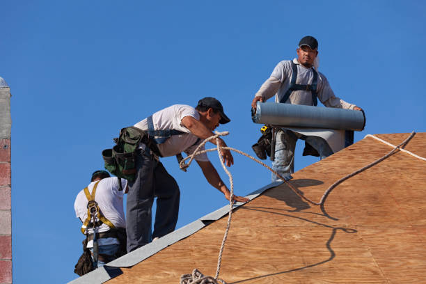 Best Roof Maintenance Services  in Kountze, TX